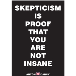 SKEPTICISM-IS-PROOF-THAT-YOU-ARE-NOT-INSANE-WOB.jpg